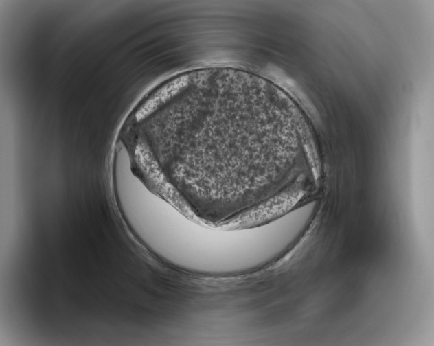 X0000096411236200802211218
