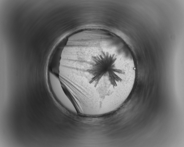 X0000096411237200802211218