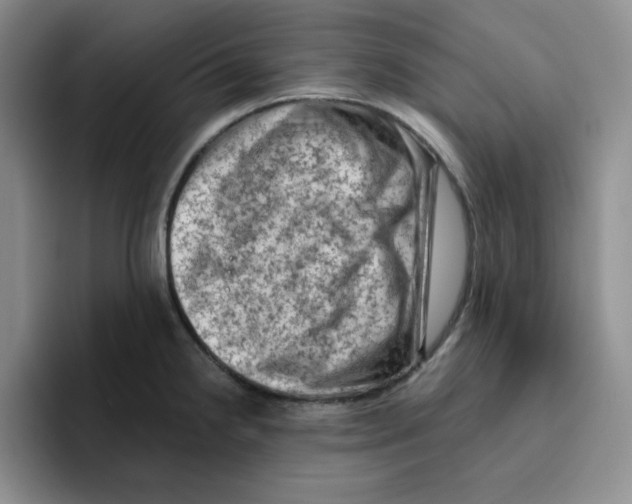 X0000096411238200802211218