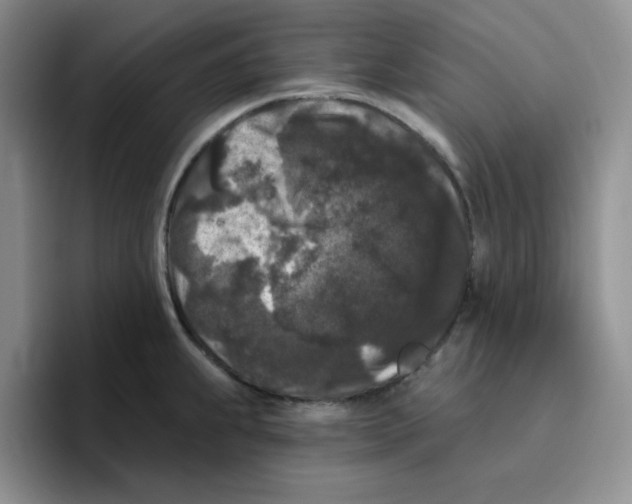 X0000096411239200802211218
