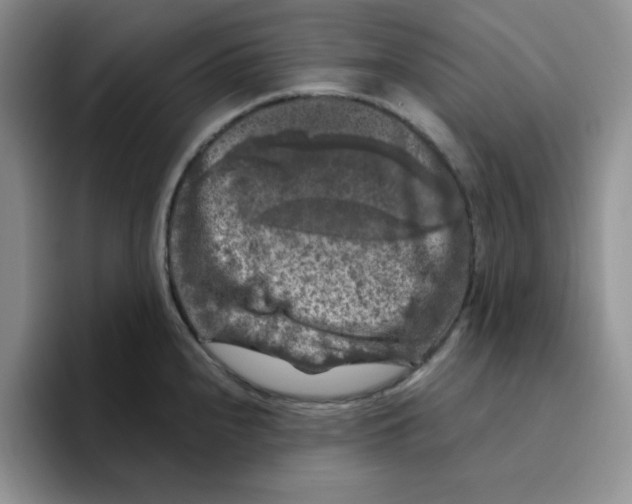 X0000096411240200802211218