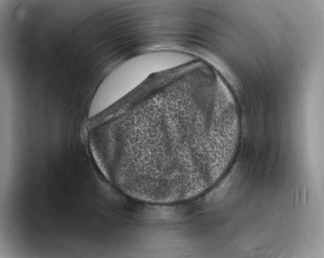 X0000096411241200802211218