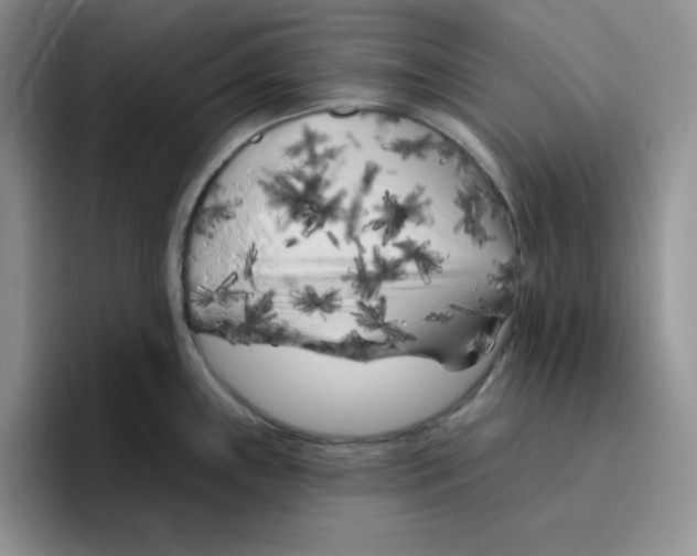 X0000096411243200802211218