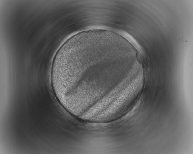 X0000096411244200802211218