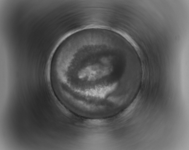 X0000096411246200802211218