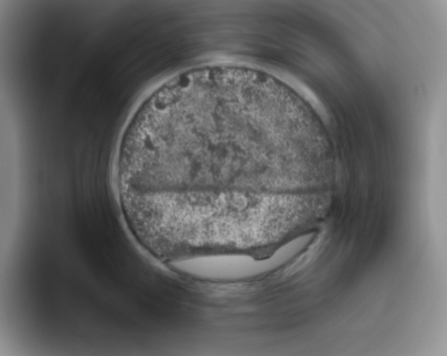X0000096411247200802211218