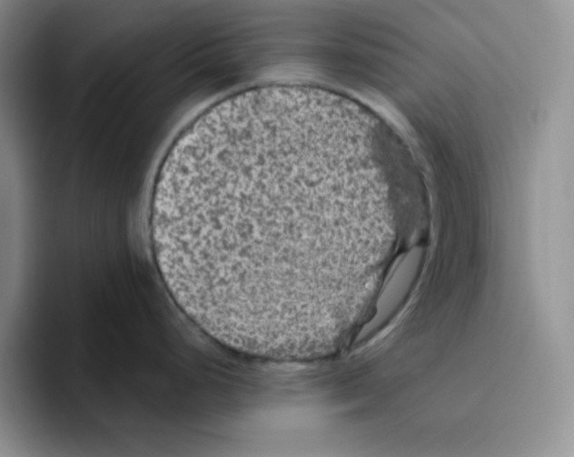 X0000096411248200802211218