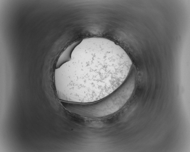X0000096411249200802211218