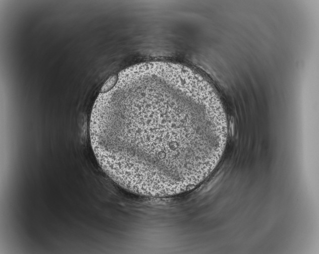 X0000096411251200802211218