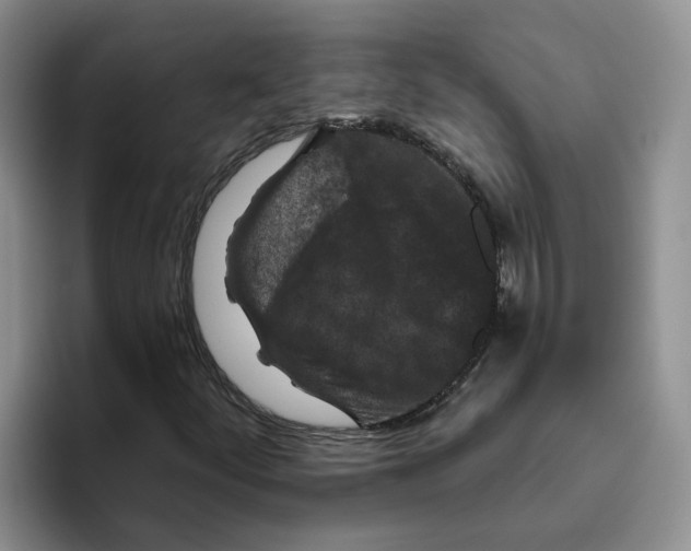 X0000096411252200802211218