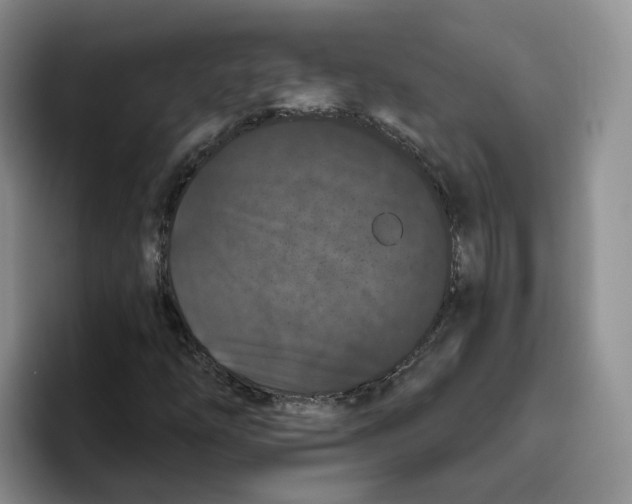X0000096411254200802211218