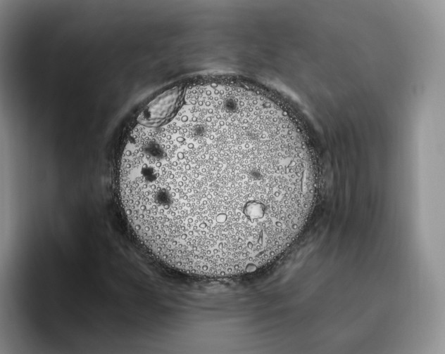X0000096411255200802211218
