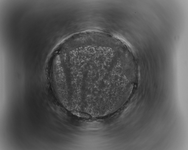X0000096411256200802211218
