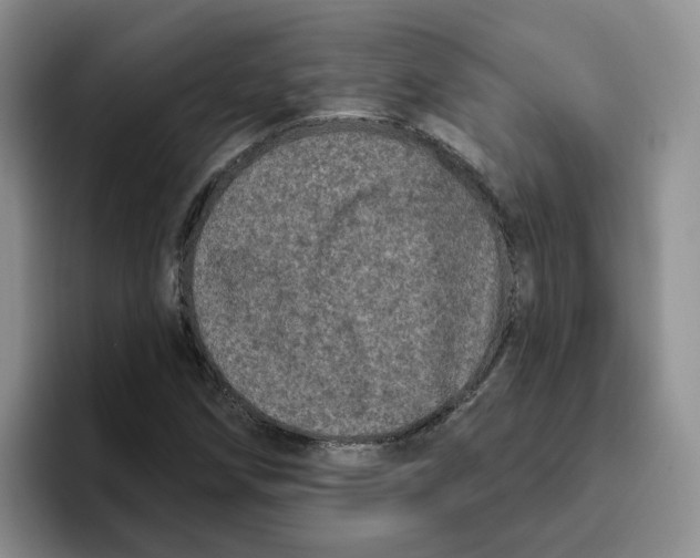 X0000096411258200802211217