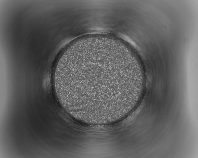 X0000096411259200802211217
