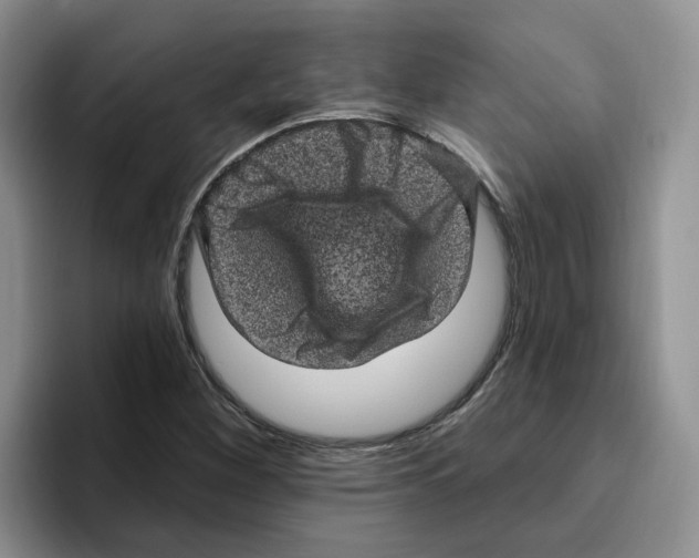 X0000096411260200802211217
