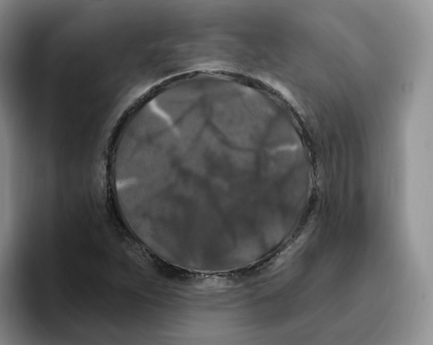 X0000096411263200802211217