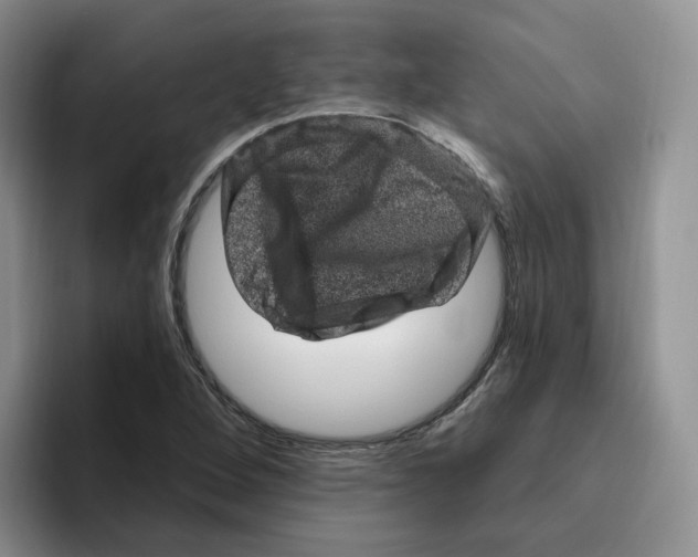 X0000096411264200802211217