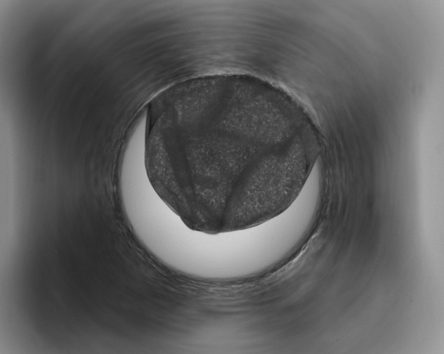 X0000096411265200802211217