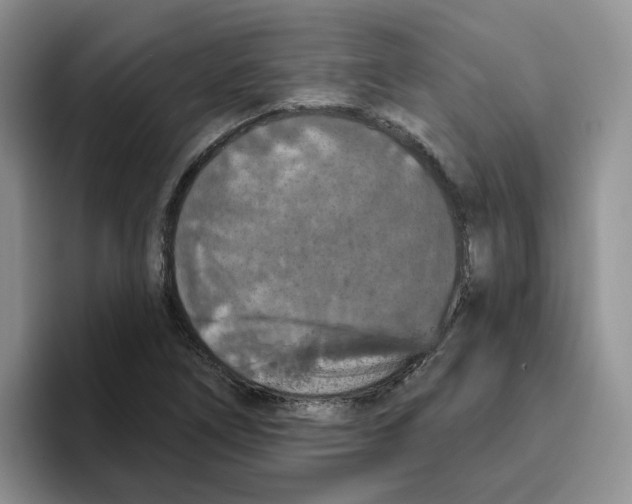 X0000096411266200802211217
