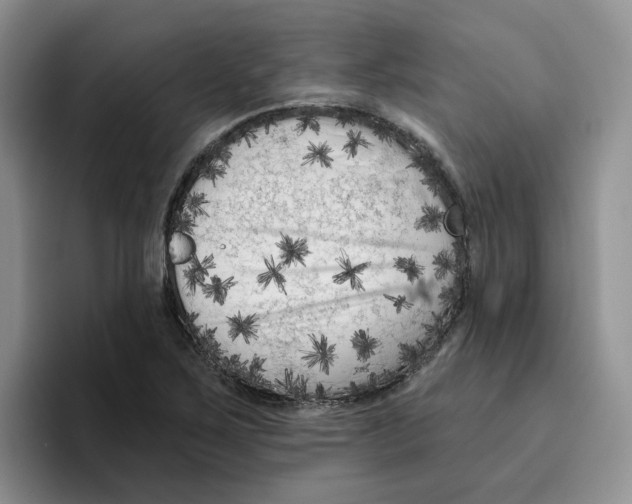 X0000096411267200802211217