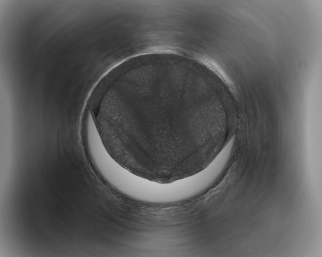 X0000096411268200802211217