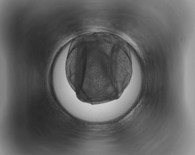 X0000096411269200802211217