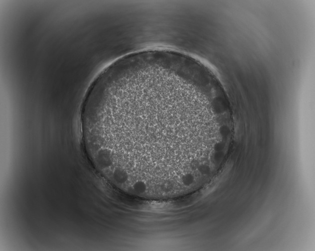 X0000096411271200802211217