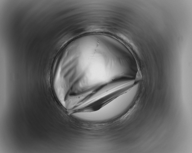 X0000096411273200802211217
