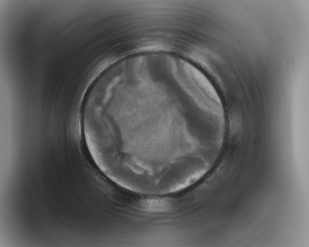 X0000096411274200802211217