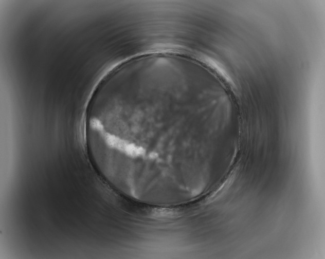 X0000096411275200802211217