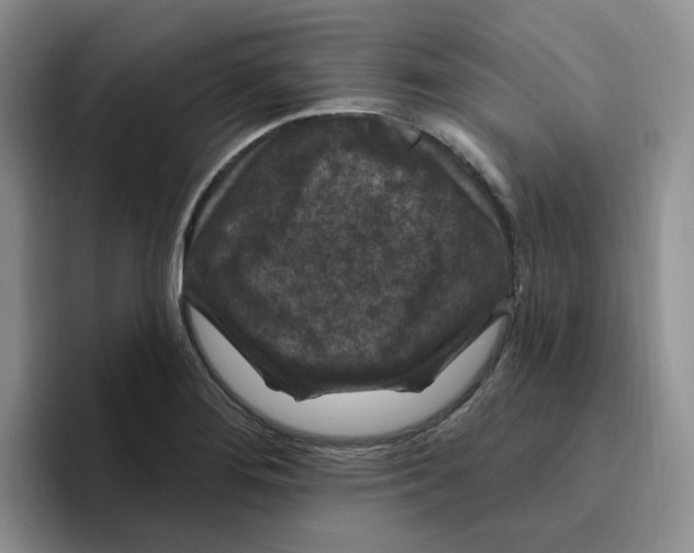 X0000096411276200802211217