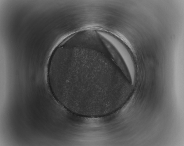 X0000096411277200802211217