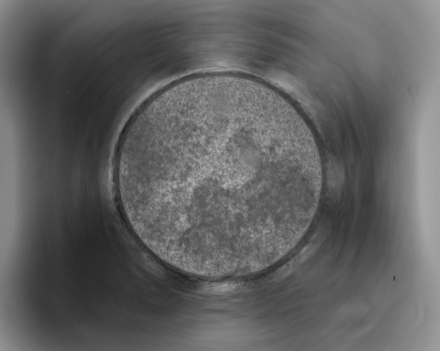 X0000096411278200802211217