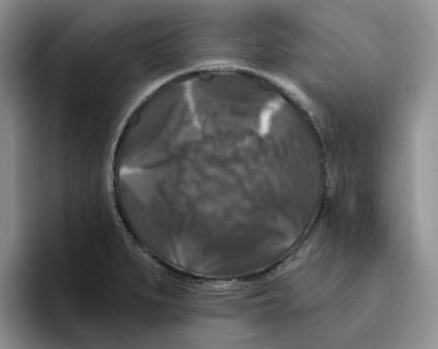 X0000096411279200802211217