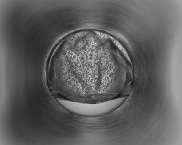 X0000096411280200802211217