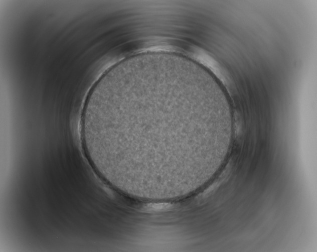 X0000096411282200802211217