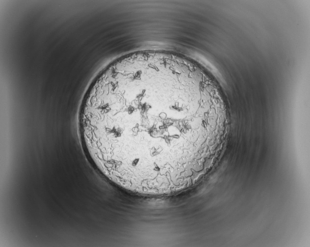 X0000096411283200802211217