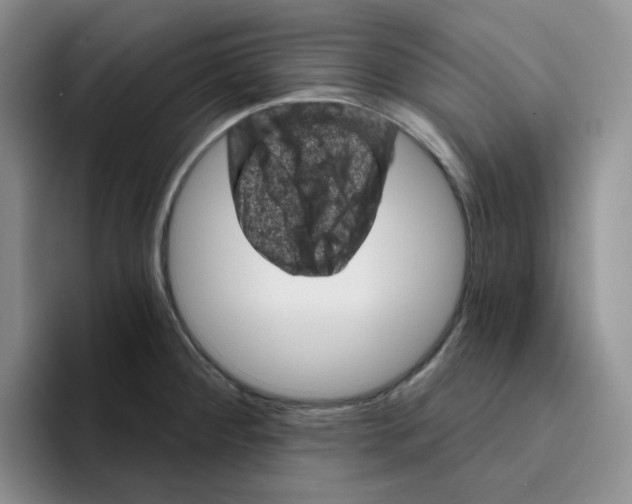 X0000096411284200802211217