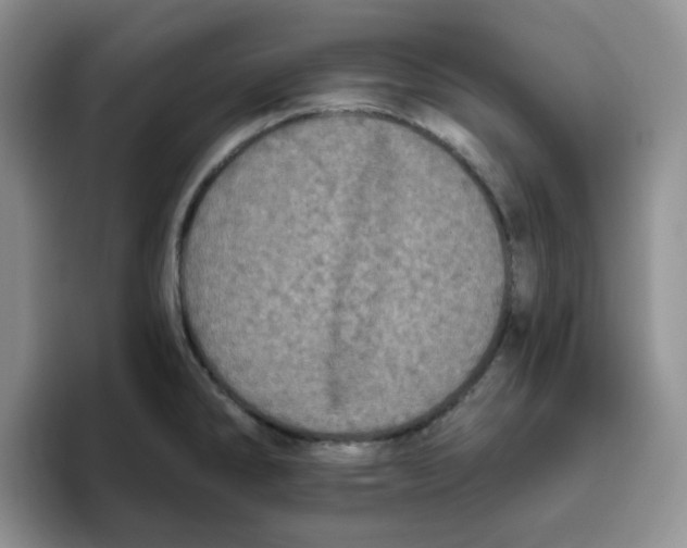 X0000096411286200802211217
