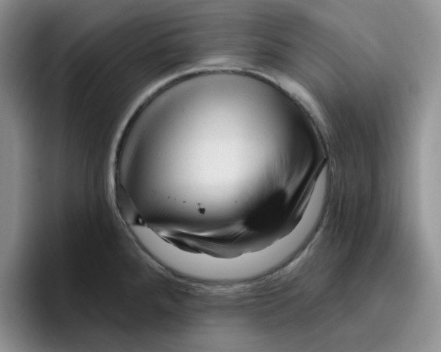 X0000096411288200802211217
