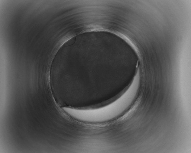 X0000096411289200802211217