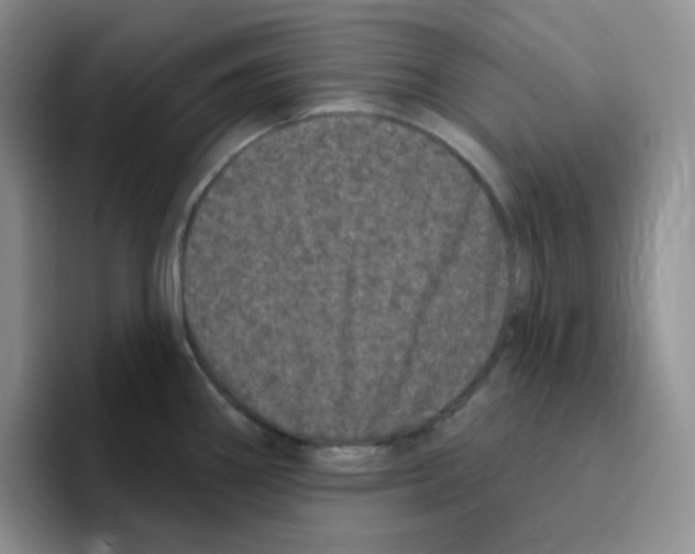 X0000096411290200802211217
