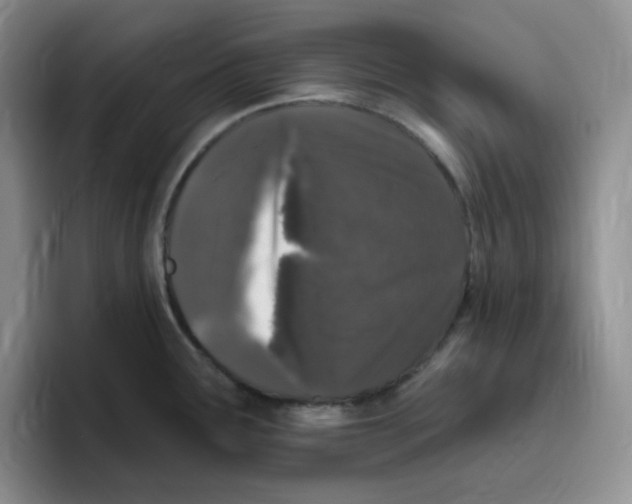 X0000096411291200802211217