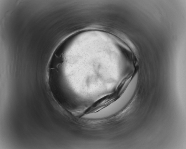 X0000096411292200802211217