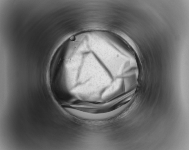 X0000096411293200802211217