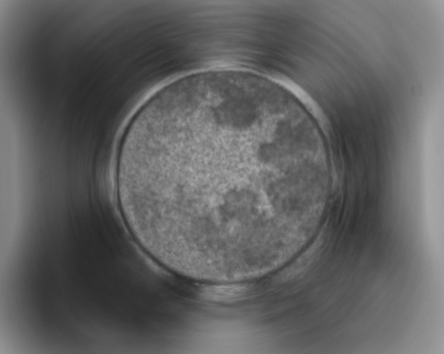 X0000096411294200802211217