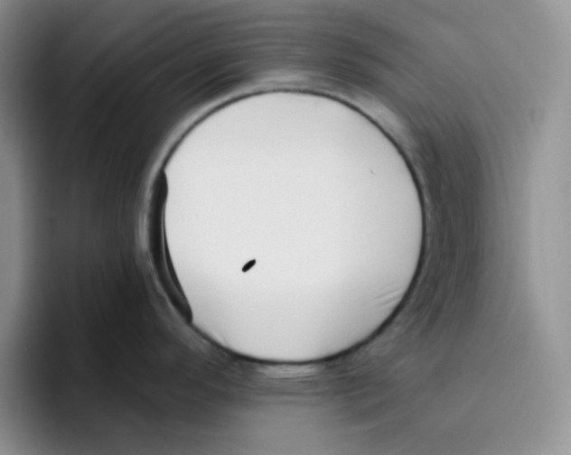 X0000096411296200802211217