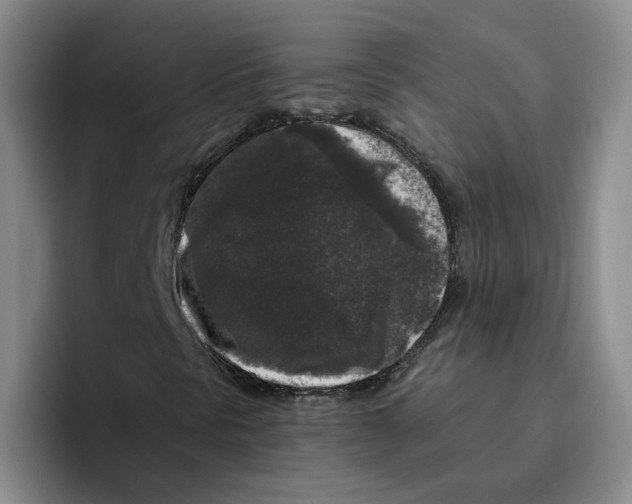X0000096411297200802211216