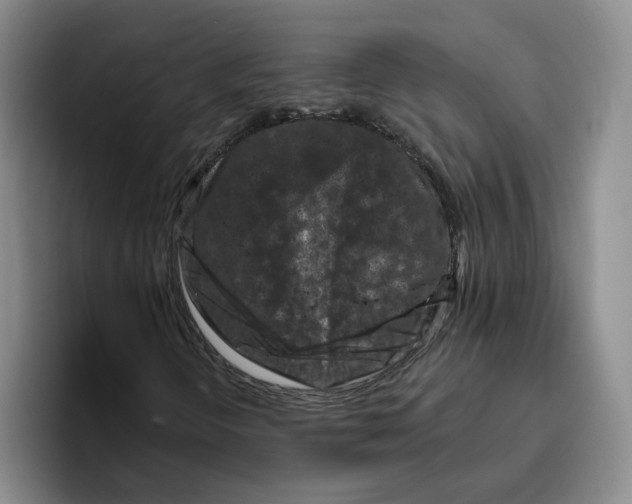 X0000096411298200802211216